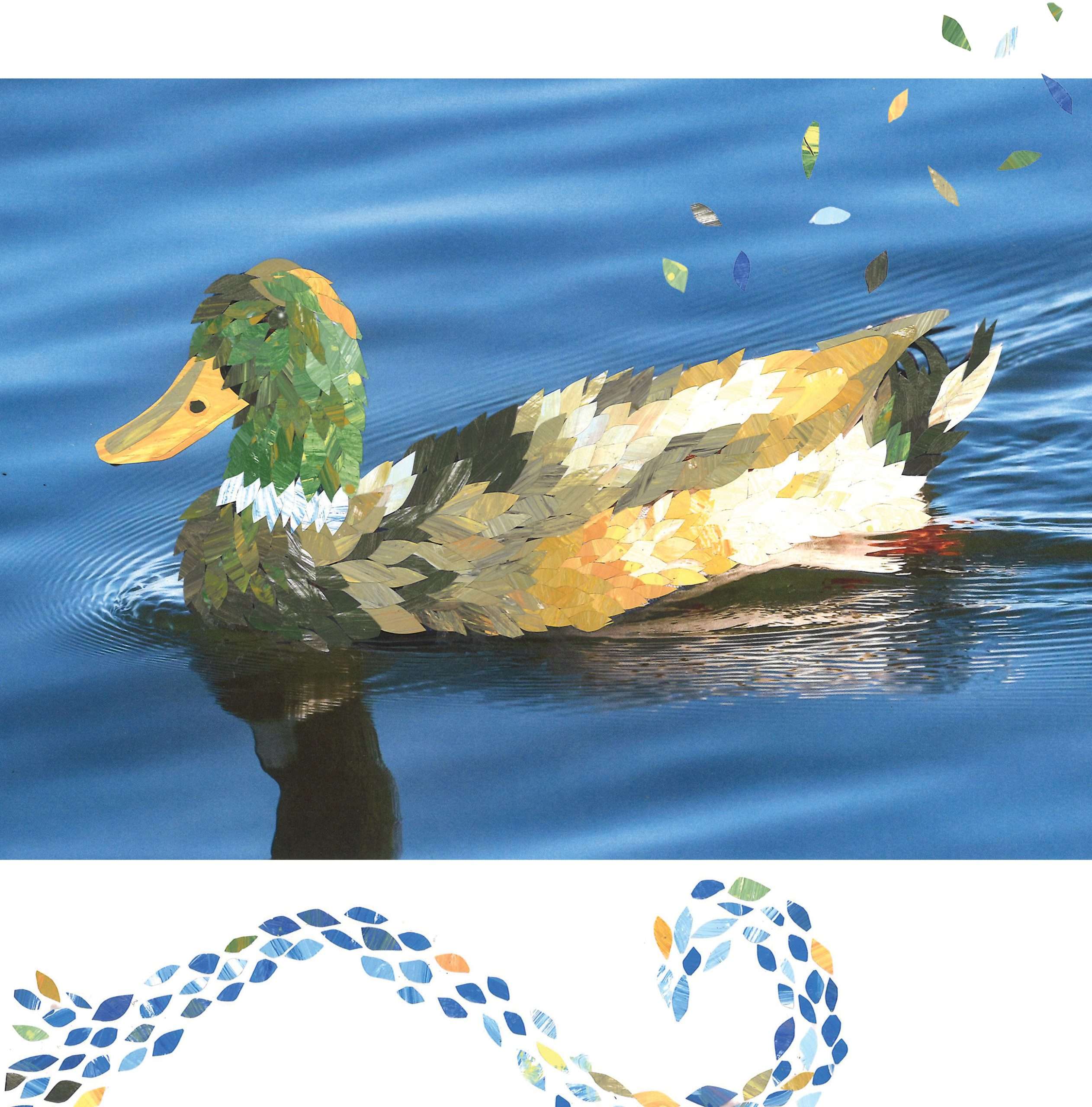 Mallard copy Mallard duck with collage